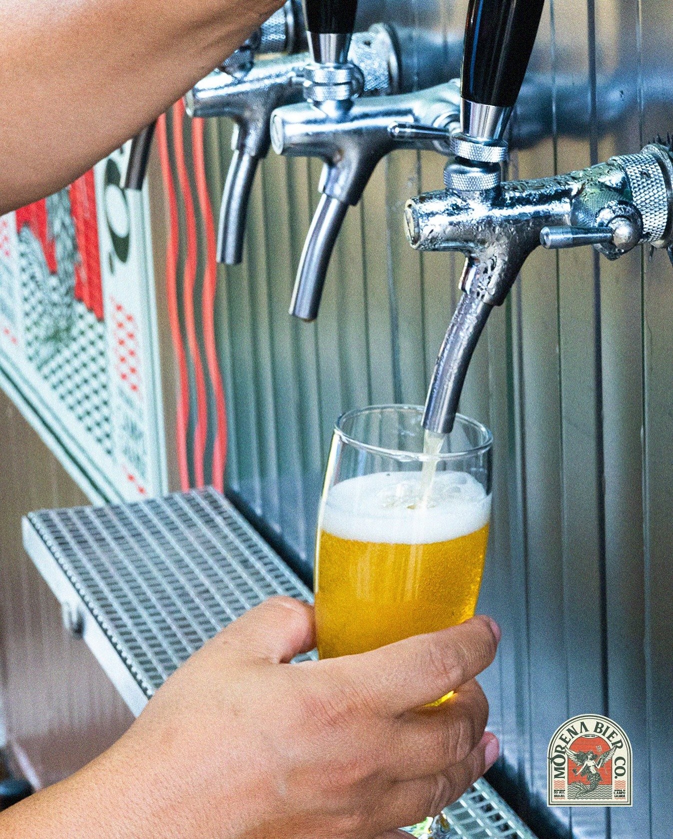 Chopp Morena Bier sendo servido direto da torneira